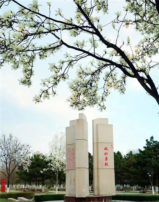【印象西农】霓裳片片晚妆新    束素亭亭玉殿春