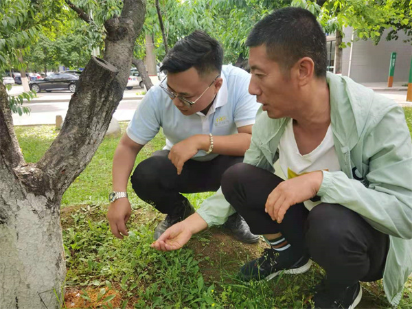 小课堂配良方打牢精细化管护大根基