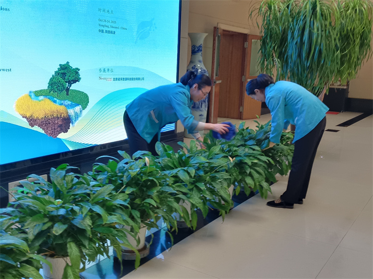 擦拭绿植.jpg