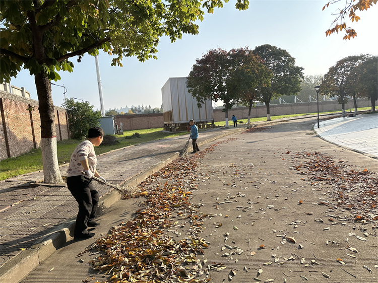 场馆外围路面落叶清理.jpg