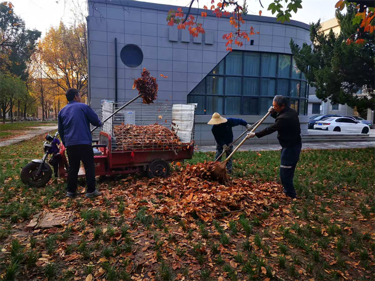 6.装运落叶2.jpg