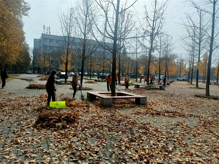 1.清扫落叶1.jpg
