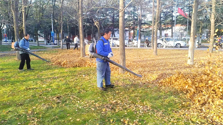3.吹风机吹落叶2.jpg