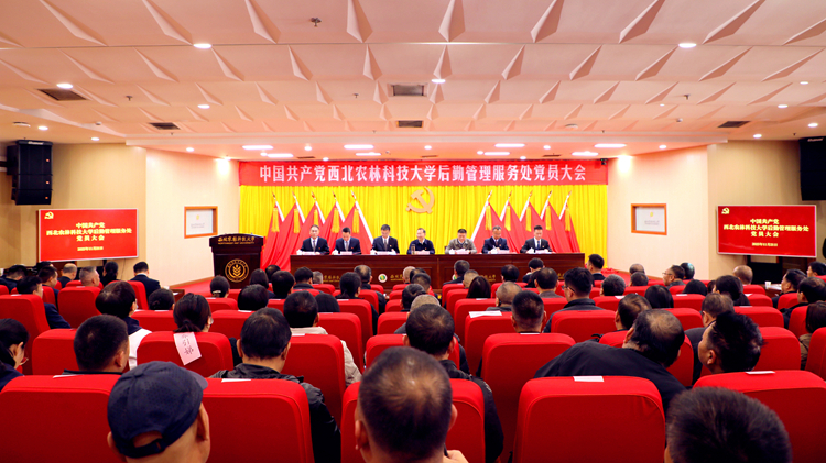 凝心聚力启新程  党建引领谱新篇