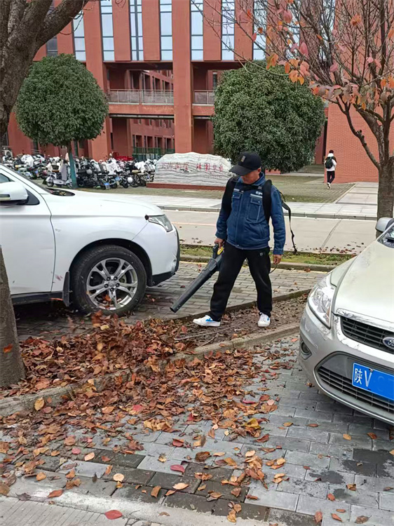 3.吹风机吹落叶1.jpg