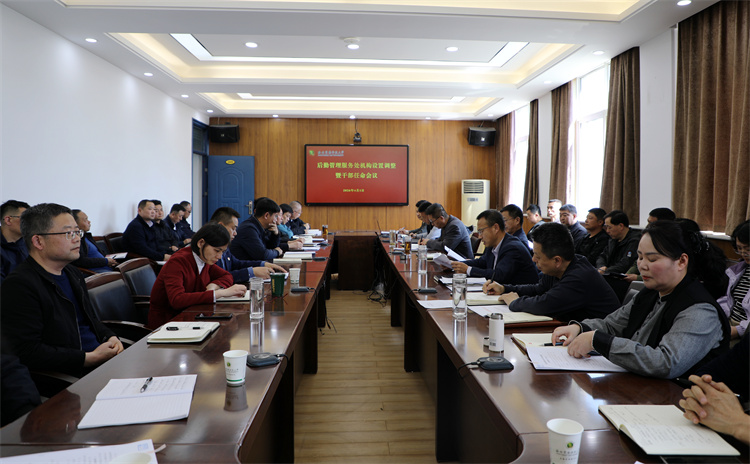 后勤管理服务处召开内设机构调整暨干部任命会议