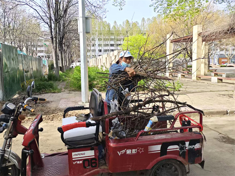 捡枯枝.jpg