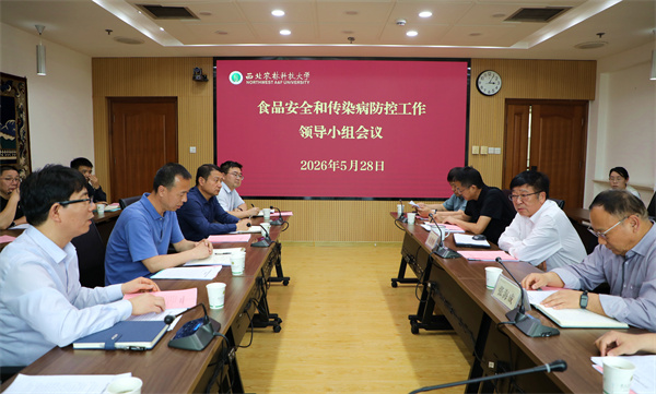 8B0A9150.jpg