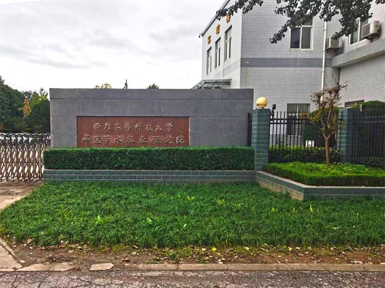 环境整治让旱农院变得更美