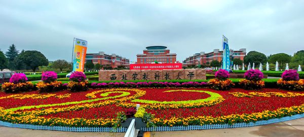 【组图】九月花开