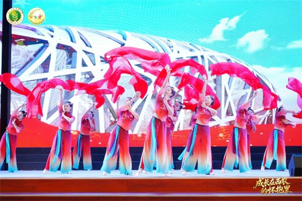 4 教师表演.jpg