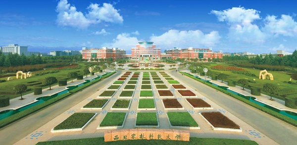 【中国教育后协会】西北农林科技大学|从“绿化美化”到“生态育人”，西农模式获省级认可