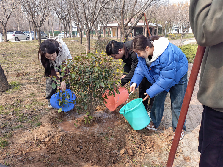 党建引领携手植树添新绿