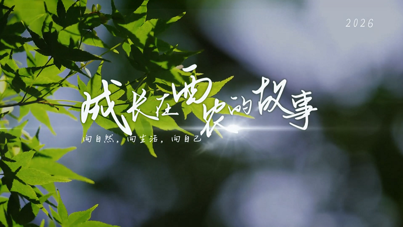 2026年儿童节宣传片