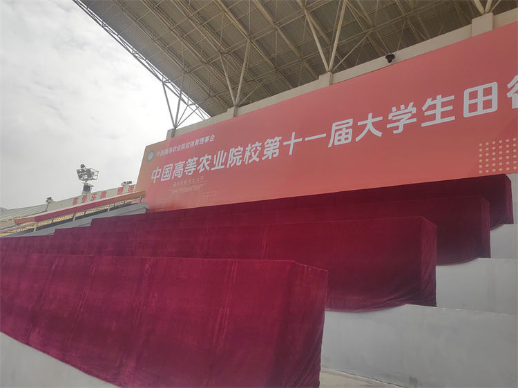 摆放整齐的桌椅.jpg