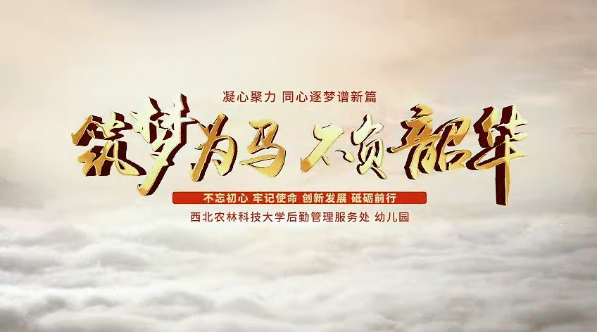 筑梦为马，不负韶华