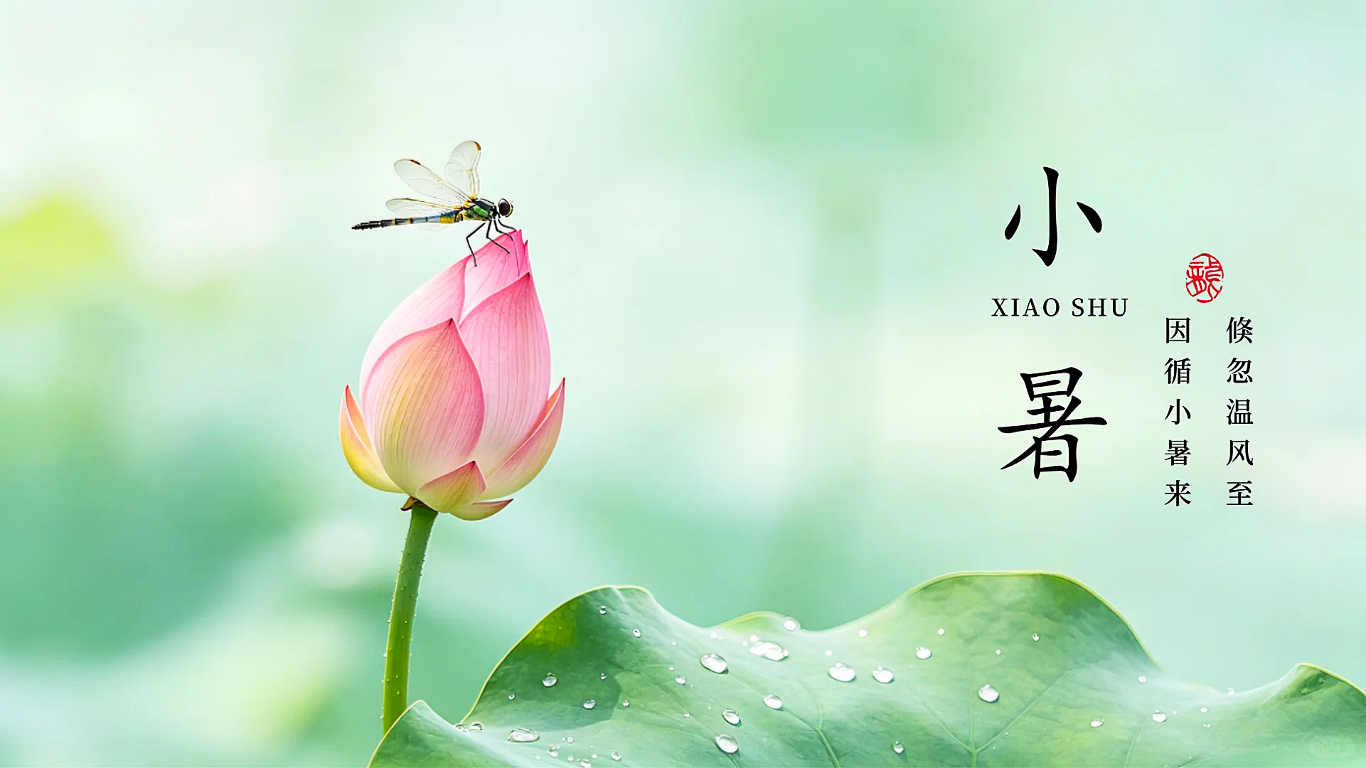 倏忽温风至，因循小暑来