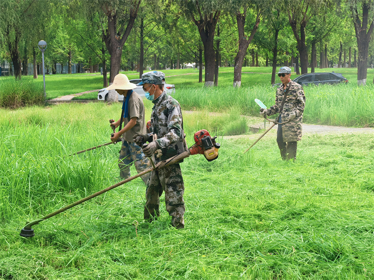 1.割草.jpg