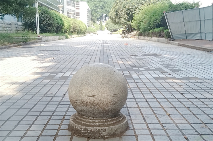 北校区8号楼南侧广场路面改造前.jpg