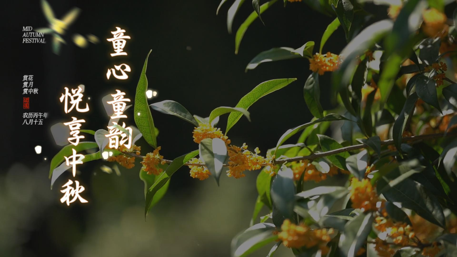 月满中秋，童享团圆——幼儿园中秋节系列活动温暖纪实