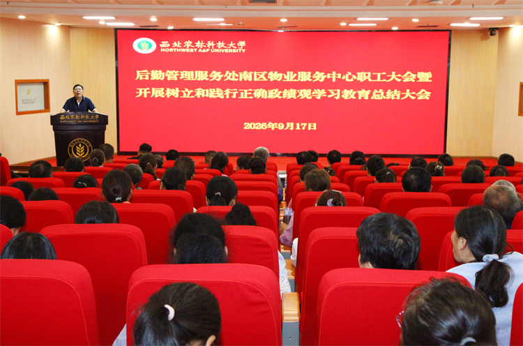 会议现场.jpg