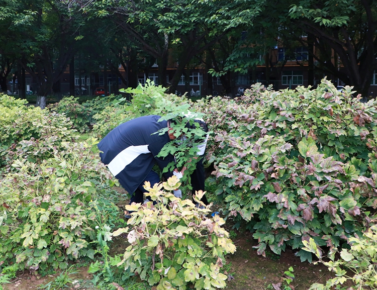 8B0A1802_副本.jpg