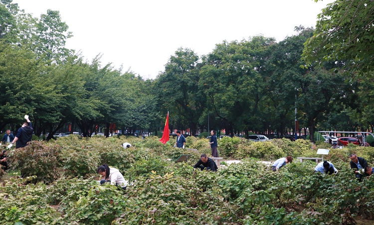 8B0A1717.jpg