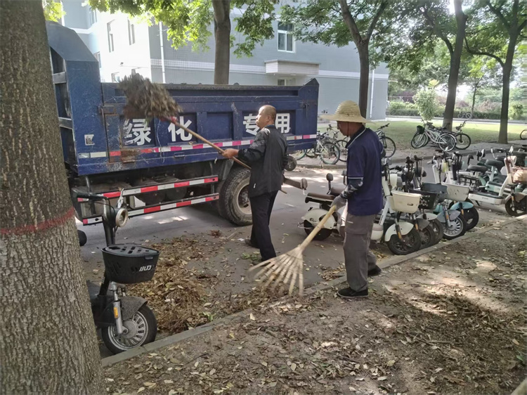 清理枯叶.jpg