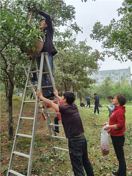 75a6266e0b6644adbb7f10a102e9a027.jpg mtxx01_副本3.jpg