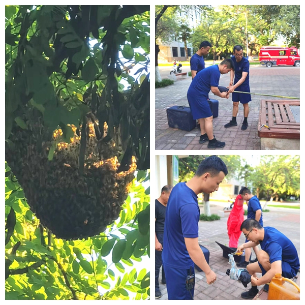 49eb7632bdea4ec192cae3010f659abf.jpg 制作工具.jpg